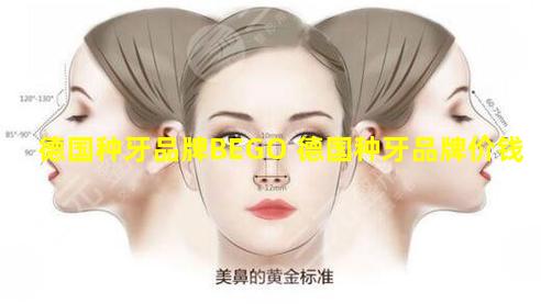 德国种牙品牌BEGO 德国种牙品牌价钱